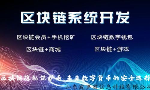 区块链隐私保护币：未来数字货币的安全选择