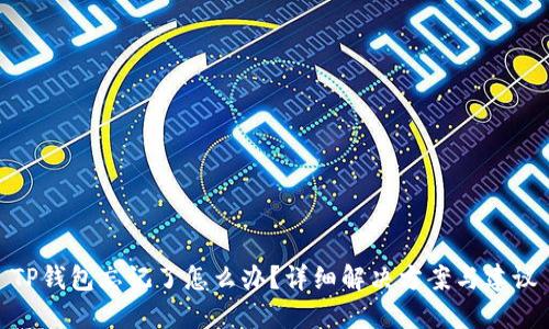 TP钱包忘记了怎么办？详细解决方案与建议