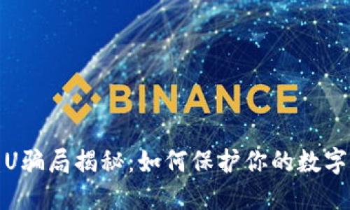TP钱包盗U骗局揭秘：如何保护你的数字资产安全