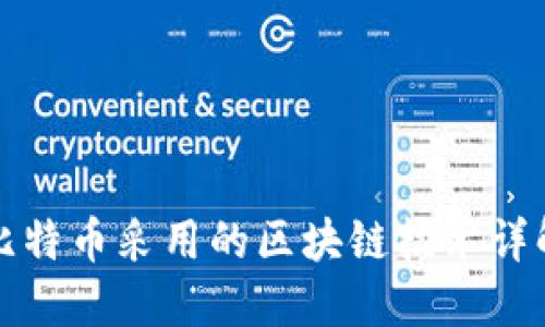 比特币采用的区块链技术详解